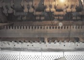 Cement 생산설비(보수) - Hammer Crusher , -Roll Crusher